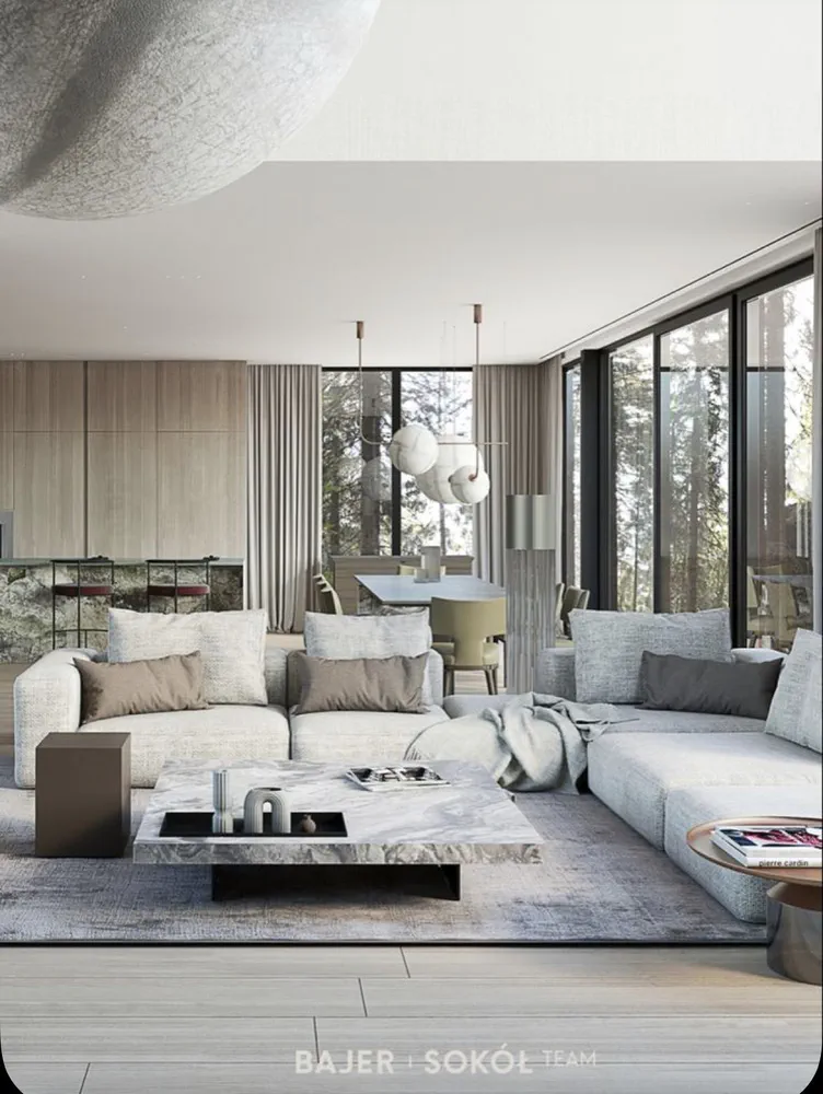 Modern Minimalist Living Room