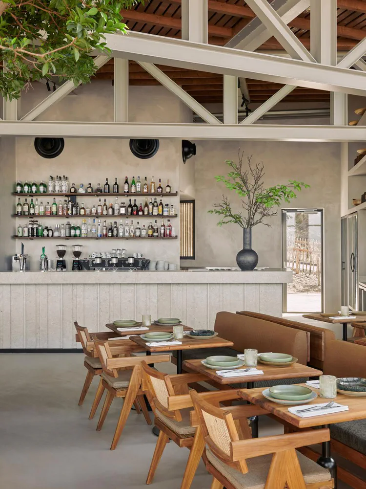Modern Bar Design for Wellness-Focused Home