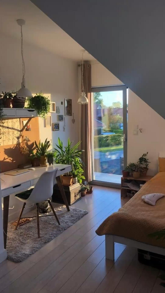 Modern Minimalist Oasis