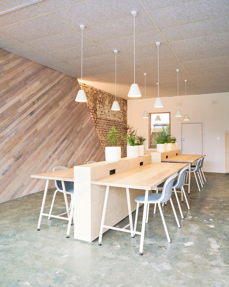 Minimalist Office Design with Green Plants
