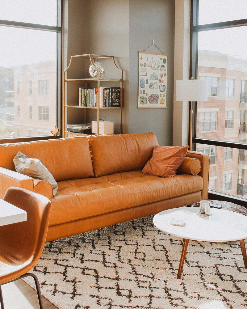 Modern Pet-Friendly Living Room Design