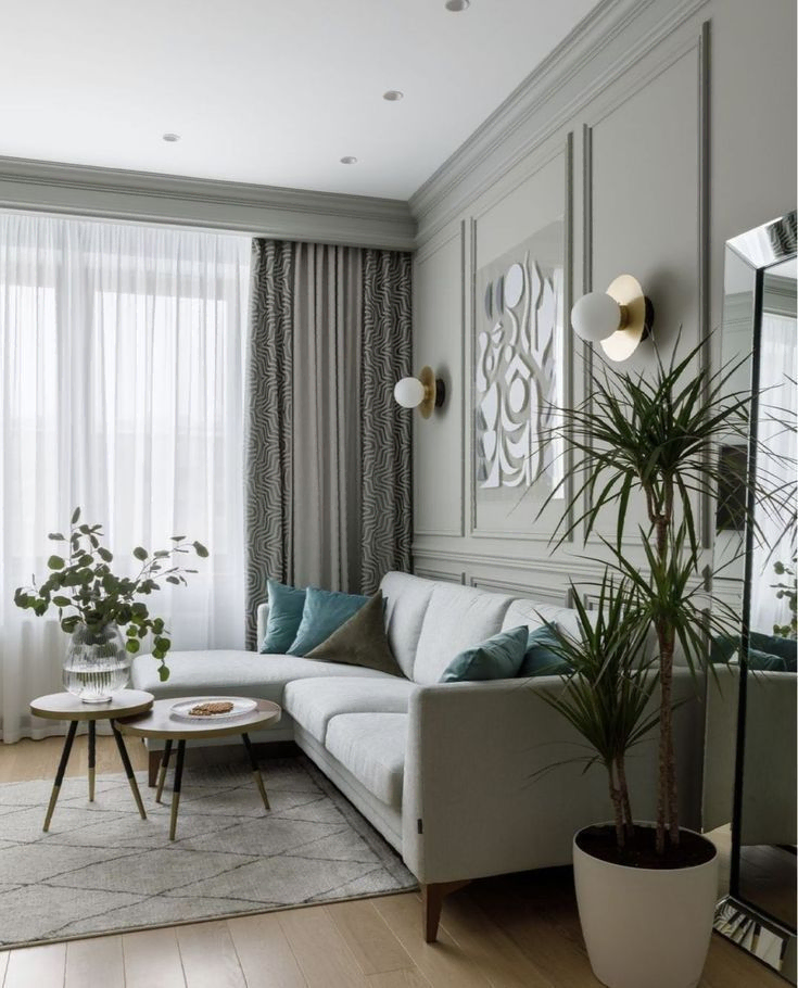 Modern Luxurious Living Room