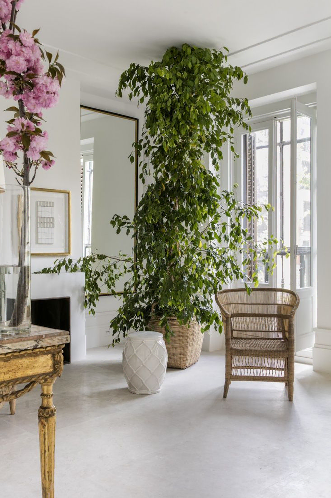 Minimalist Urban Oasis
