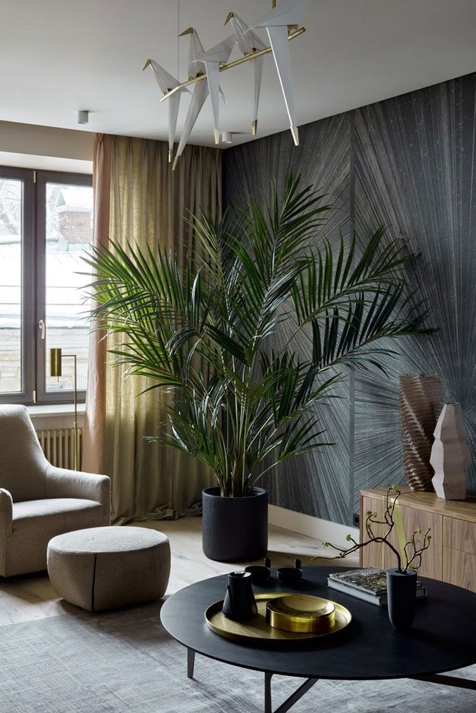 Modern Minimalist Urban Haven