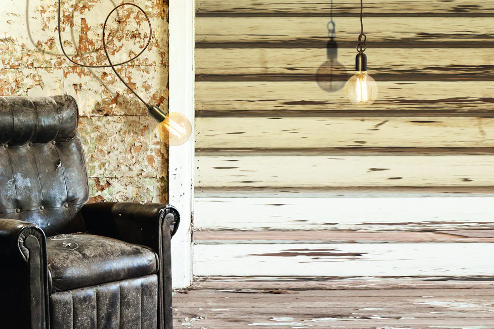 Rustic Living Room Design: Comfortable and Pet-Friendly