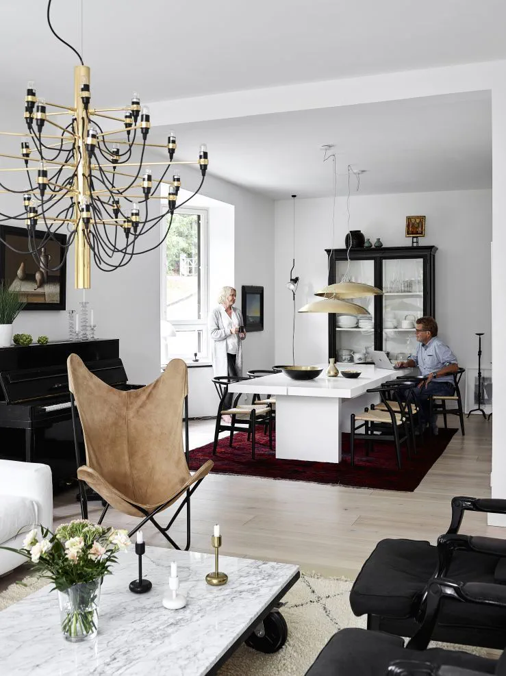Modern Eclectic Living-Dining