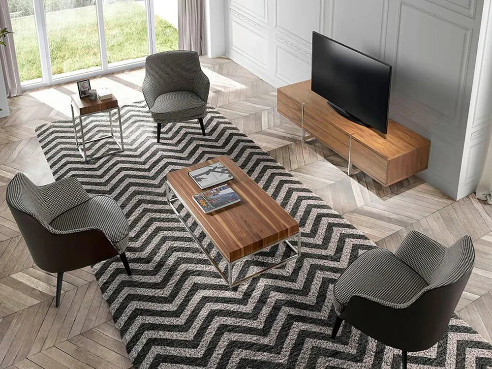 Modern Minimalist Living Room