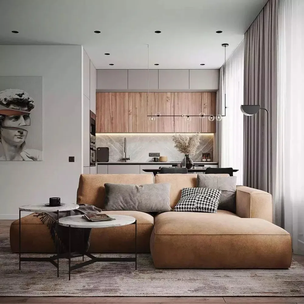 Modern Minimalist Living Room Design for a Pharmaceutical Executive
