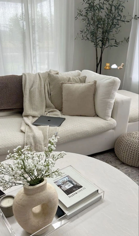 Modern Minimalist Living Room
