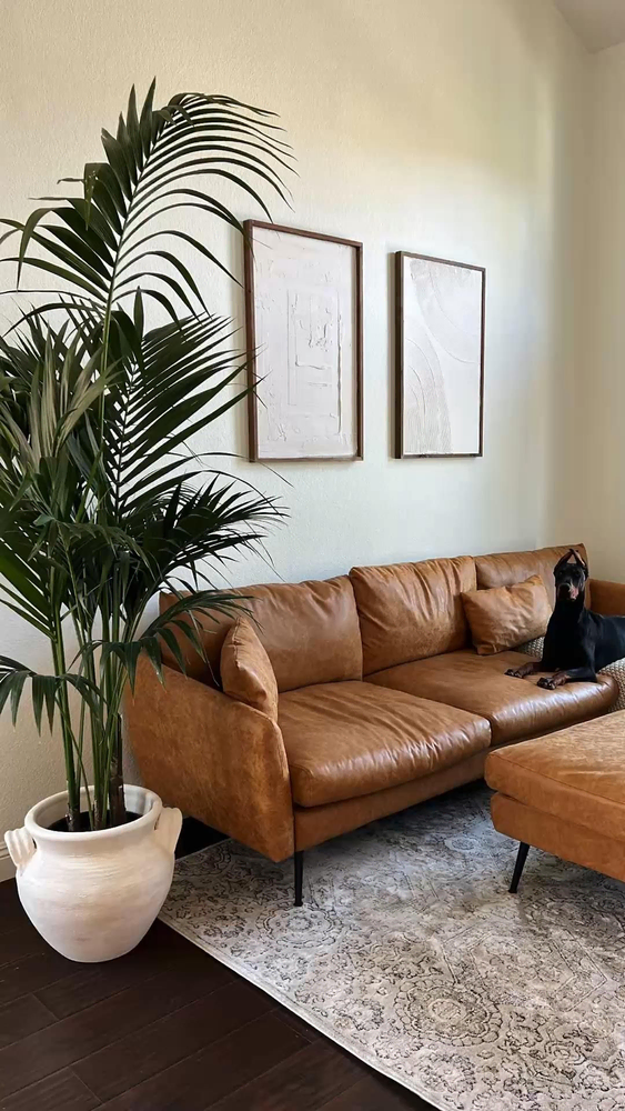 Modern Pet-Friendly Living Room Design