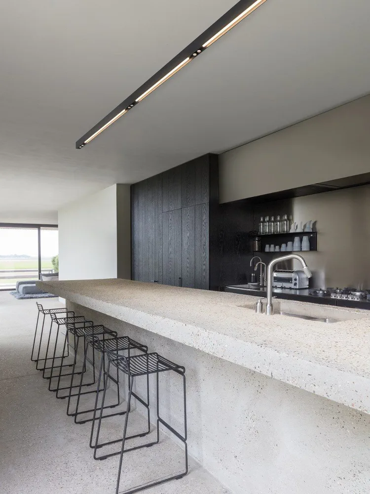 Modern Biophilic Kitchen Design for a Marketing Agency CEO