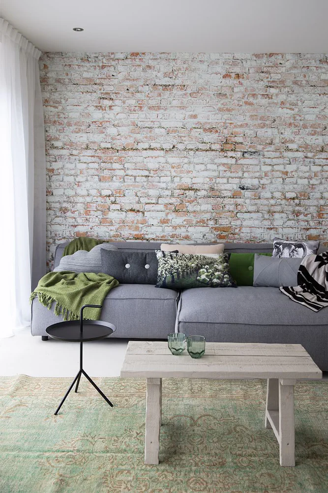 Eco-Friendly Modern Living Gallery