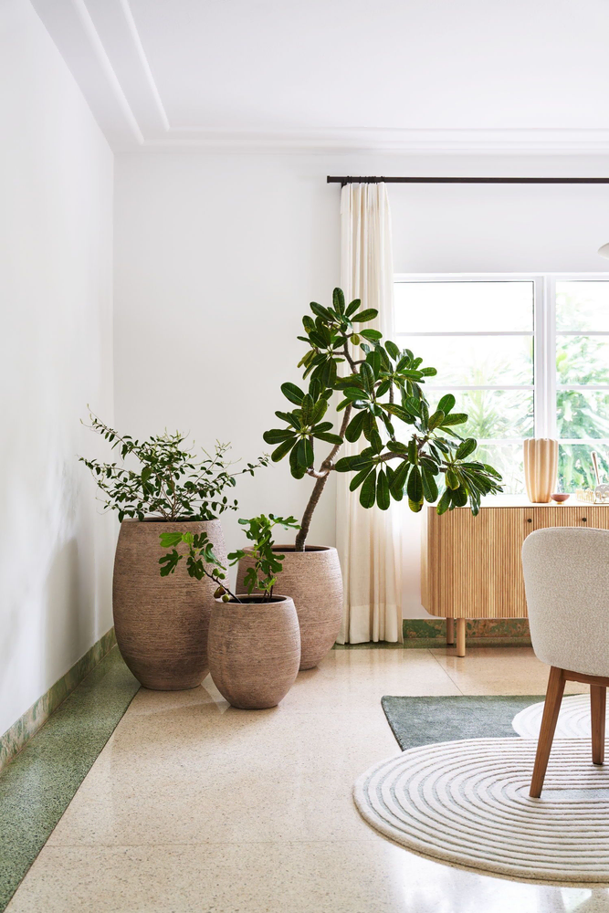 Eco-Friendly Modern Escape