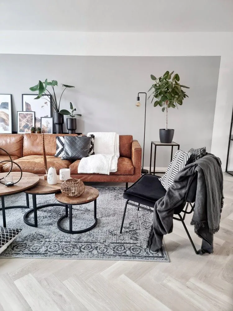 Modern Pet-Friendly Living Room Design