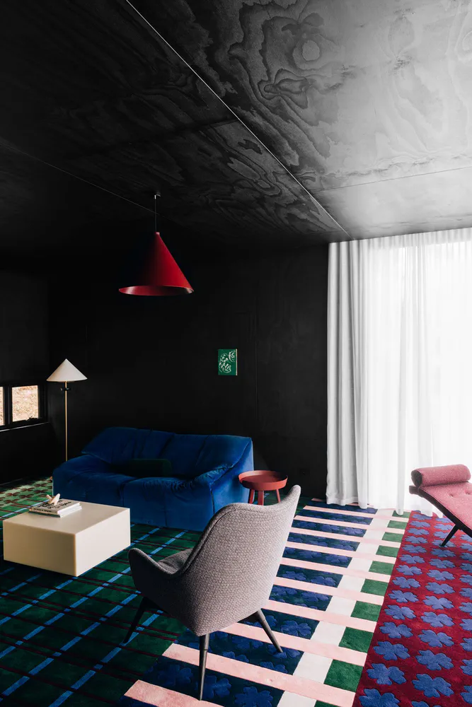 Modern Pet-Friendly Living Room Design