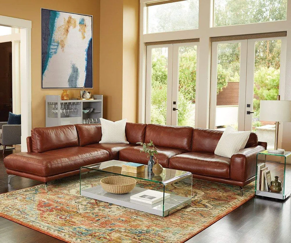 Modern Industrial Pet-Friendly Home Gym and Wellness Area