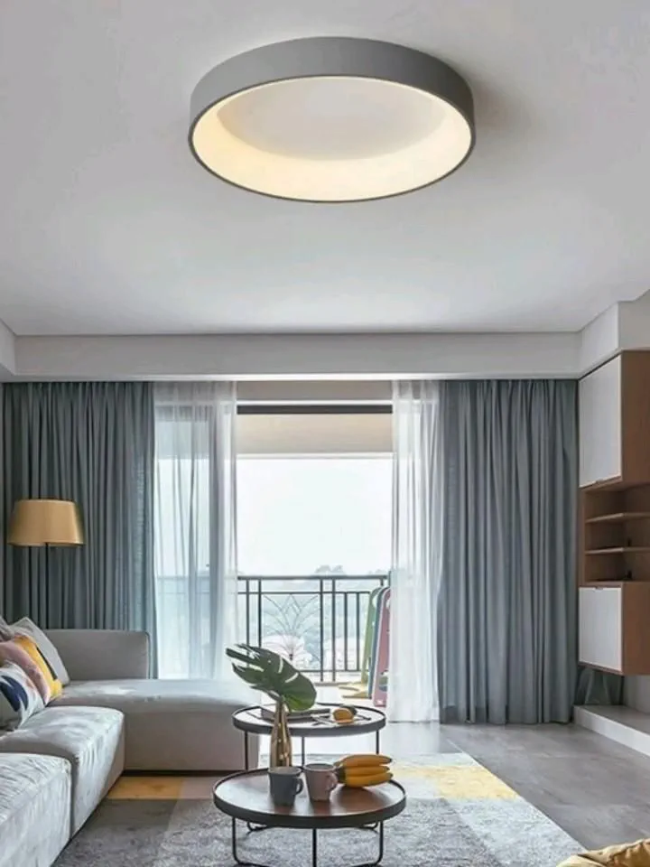Modern Living Room Design for Successful Restaurateur