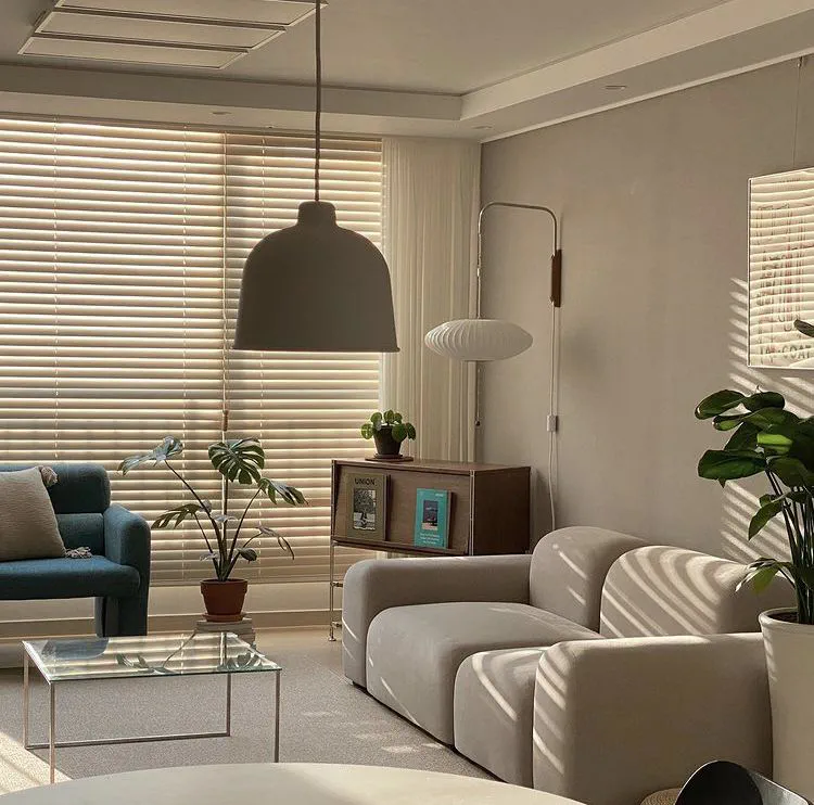 Modern Minimalist Living Room
