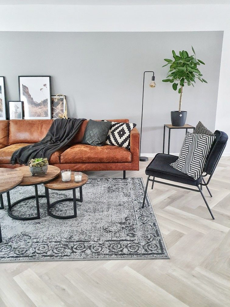 Modern Pet-Friendly Living Room Design