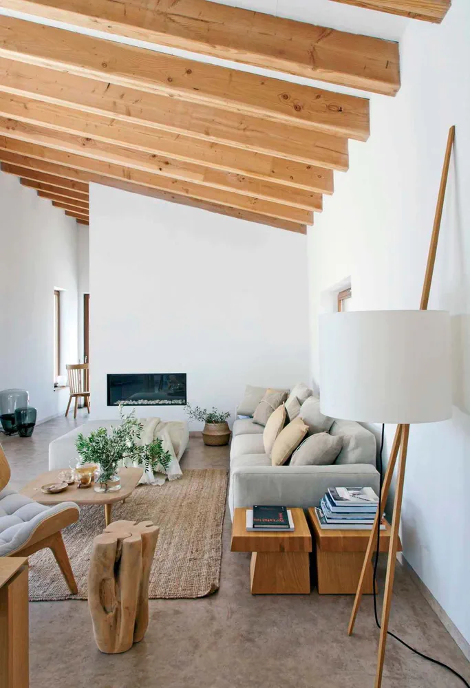 Modern Minimalist Living Room with Home Wellness and Fitness Areas