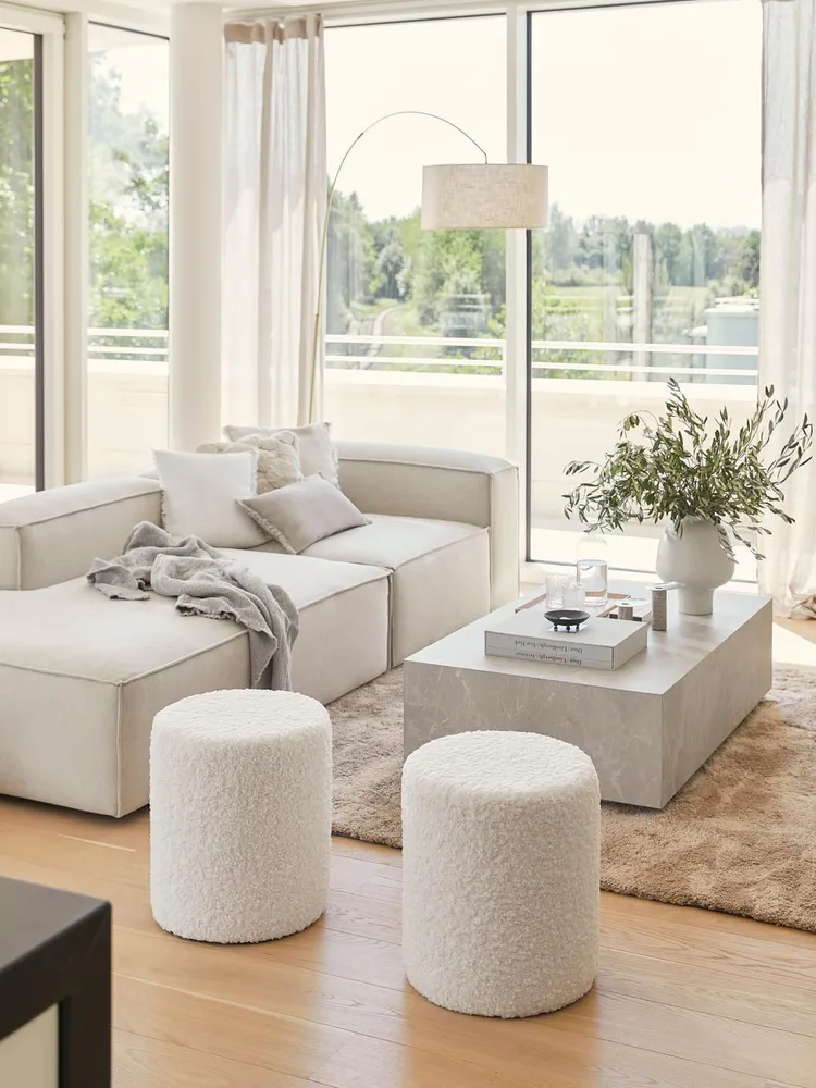 Luxurious Minimalist Living Room