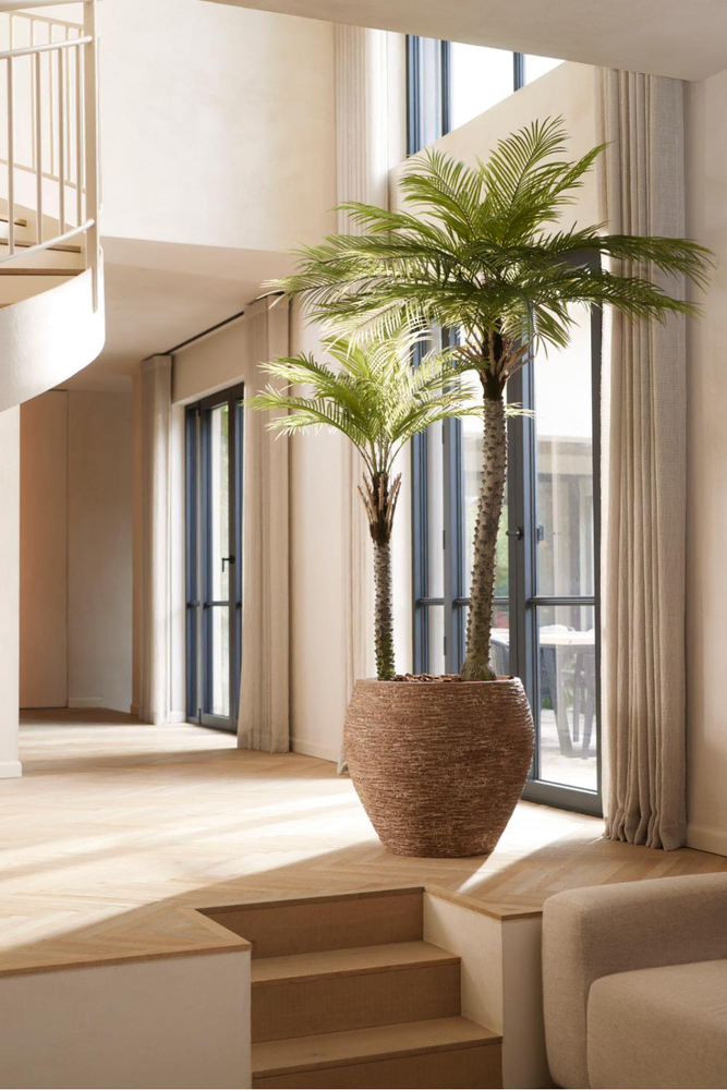 Tropical Modernist Office Design: A Sustainable Workspace Solution