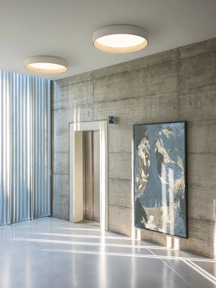 Modern Loft: Multigenerational Living in an Industrial Chic Space