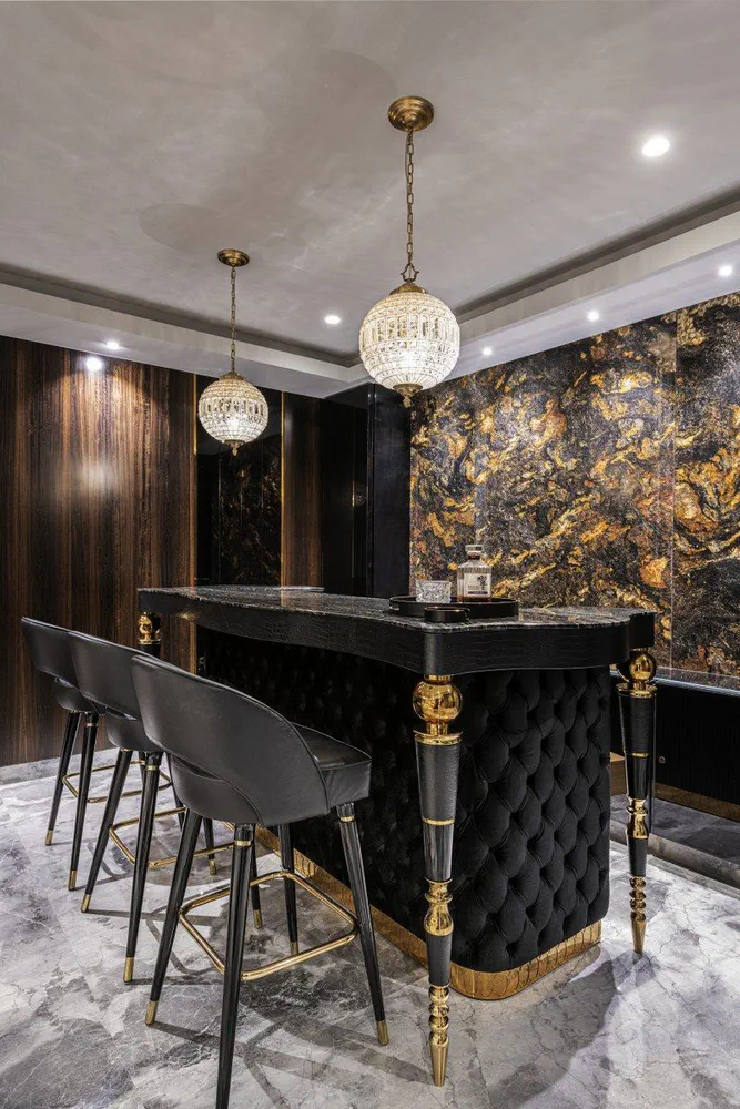 Modern Luxe Living Room Design for University Professor
