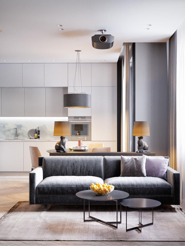 Modern Eco-Friendly Living Room Design for a Venture Capitalist
