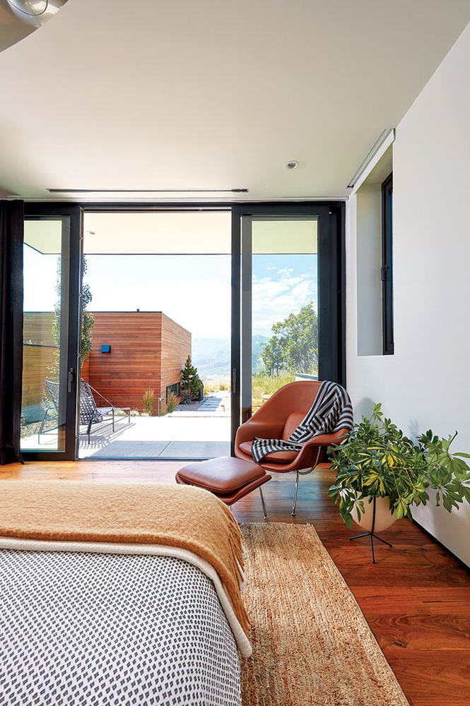 Modern Bedroom Design with Concrete Ceiling and Hydroponic Garden