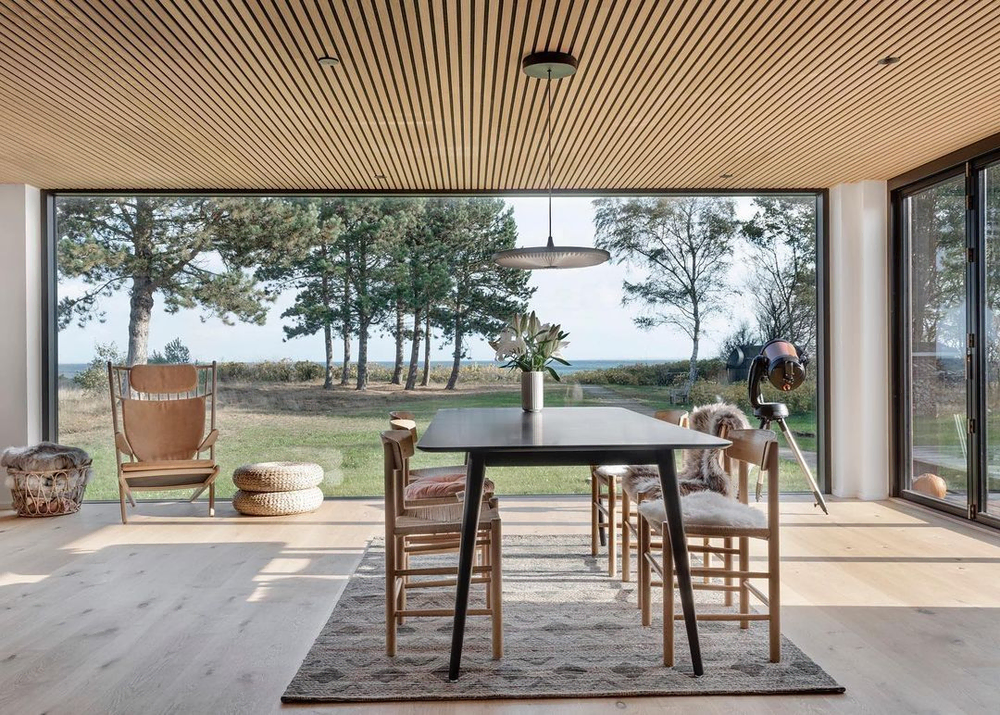 Modern Minimalist Living Room with Pet-Friendly Features