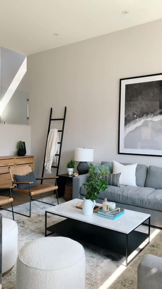 Modern Minimalist Living Room