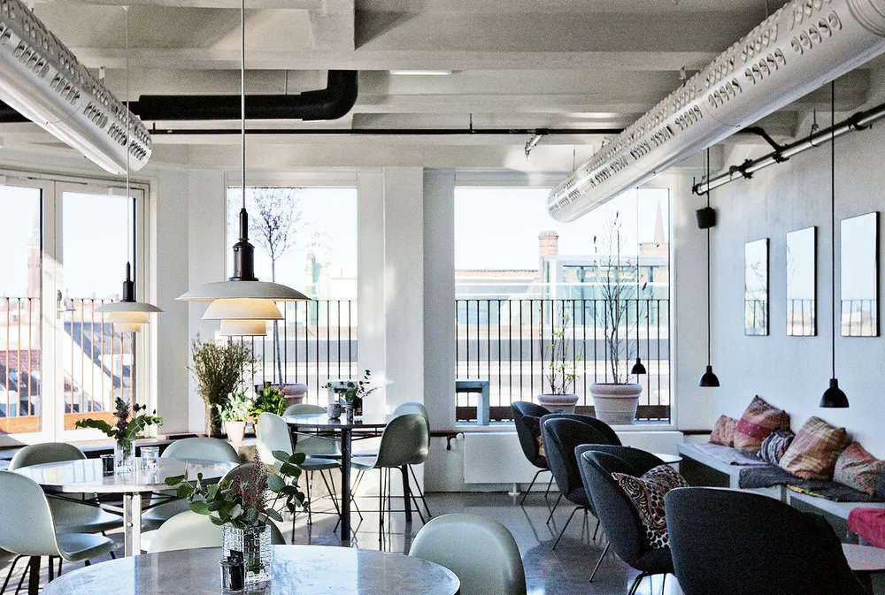 Modern Scandinavian Restaurant Design for Eco-Friendly Urban Living