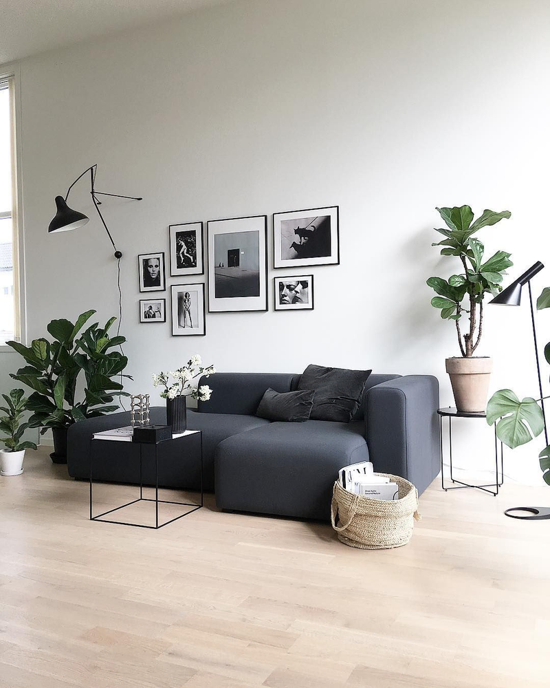 Elegance Meets Modern Minimalism