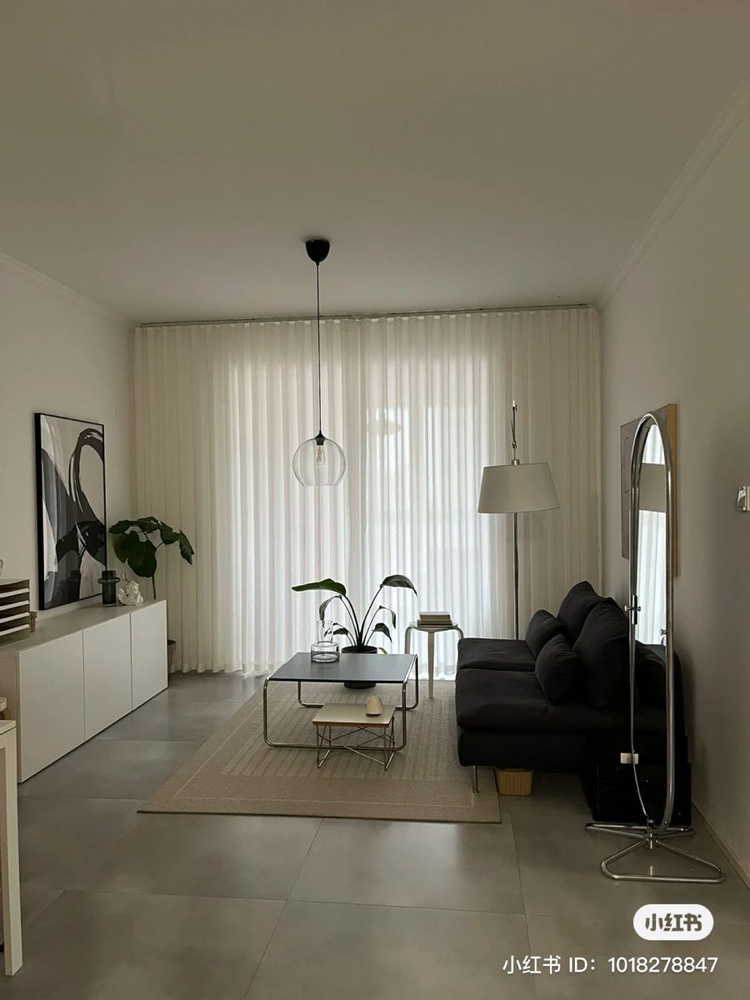 Modern Minimalist Living Room