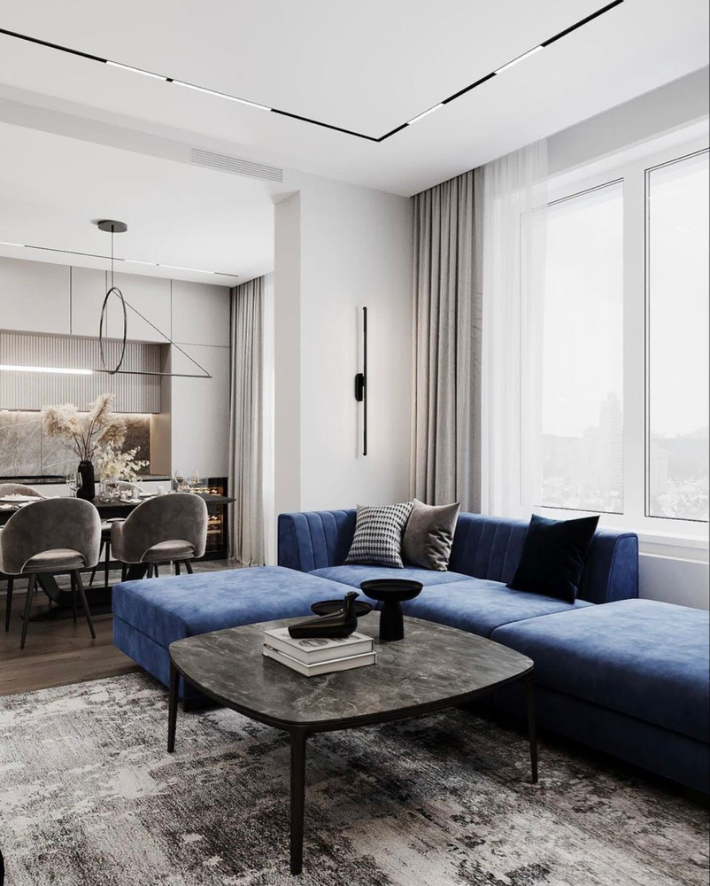 Modern Elegant Living Room