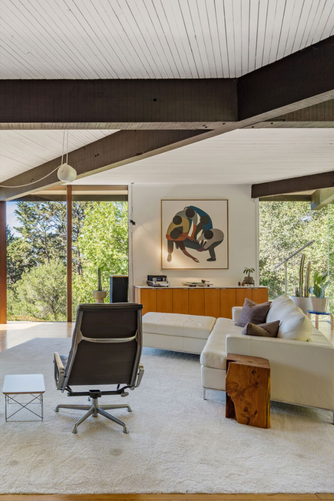 Mid-Century Modern Villa Renovation