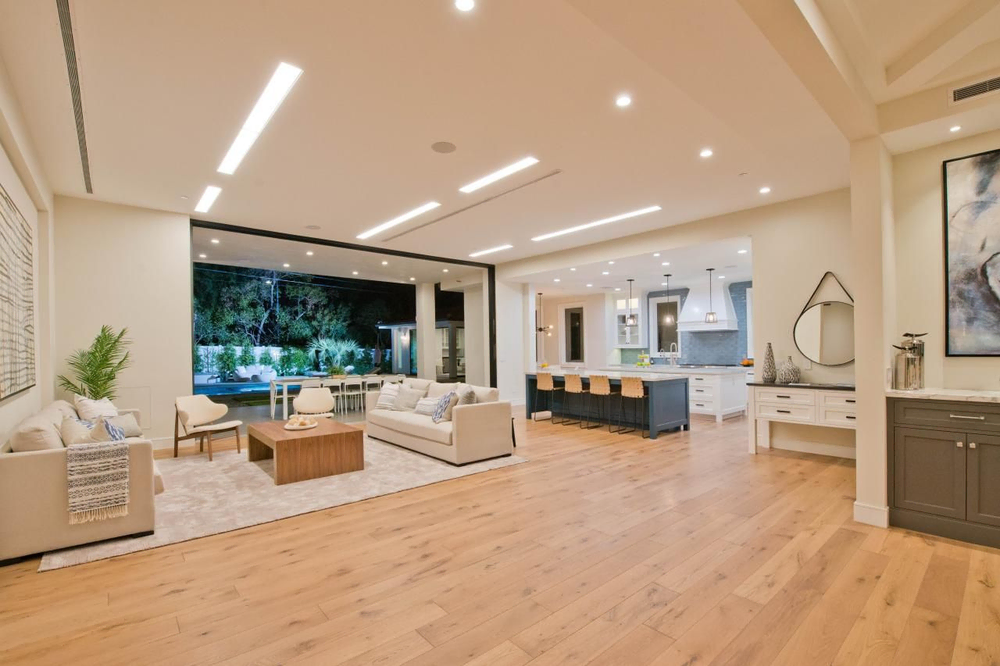 Modern Minimalist Living Room