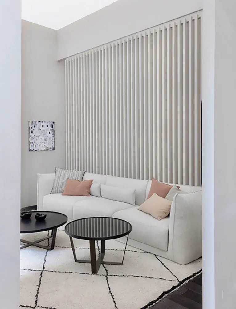 Modern Minimalist Living Room