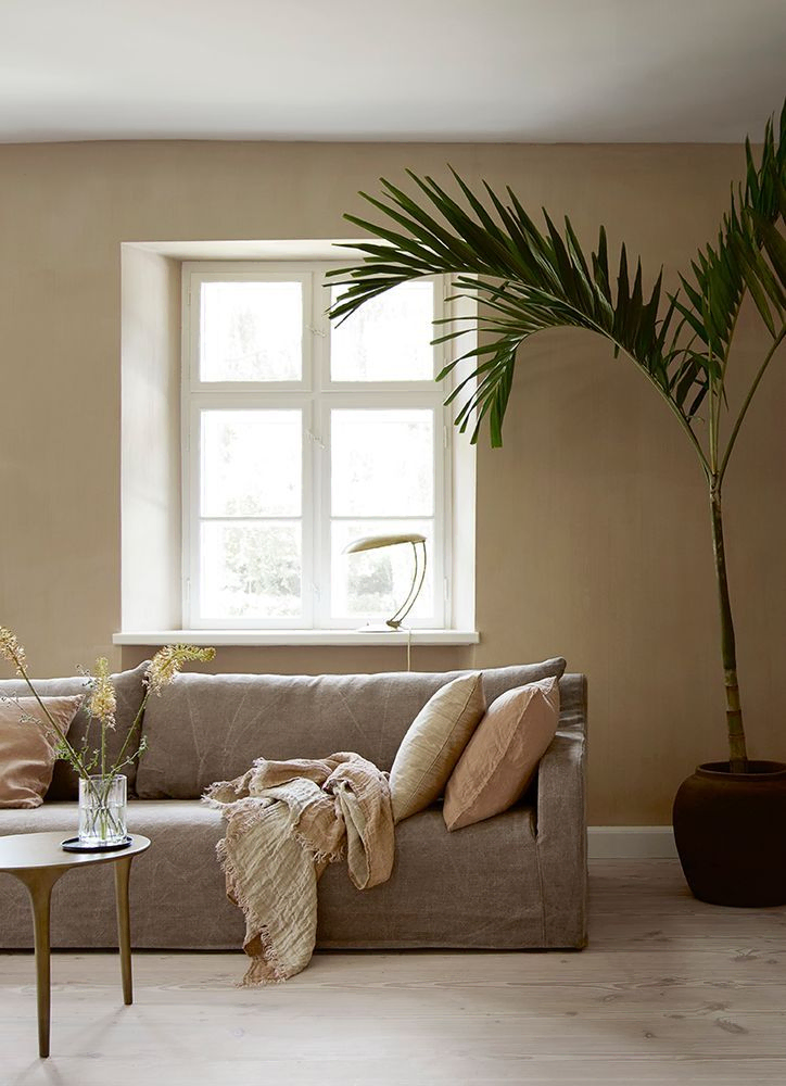 Minimalist Rustic Living Room Oasis